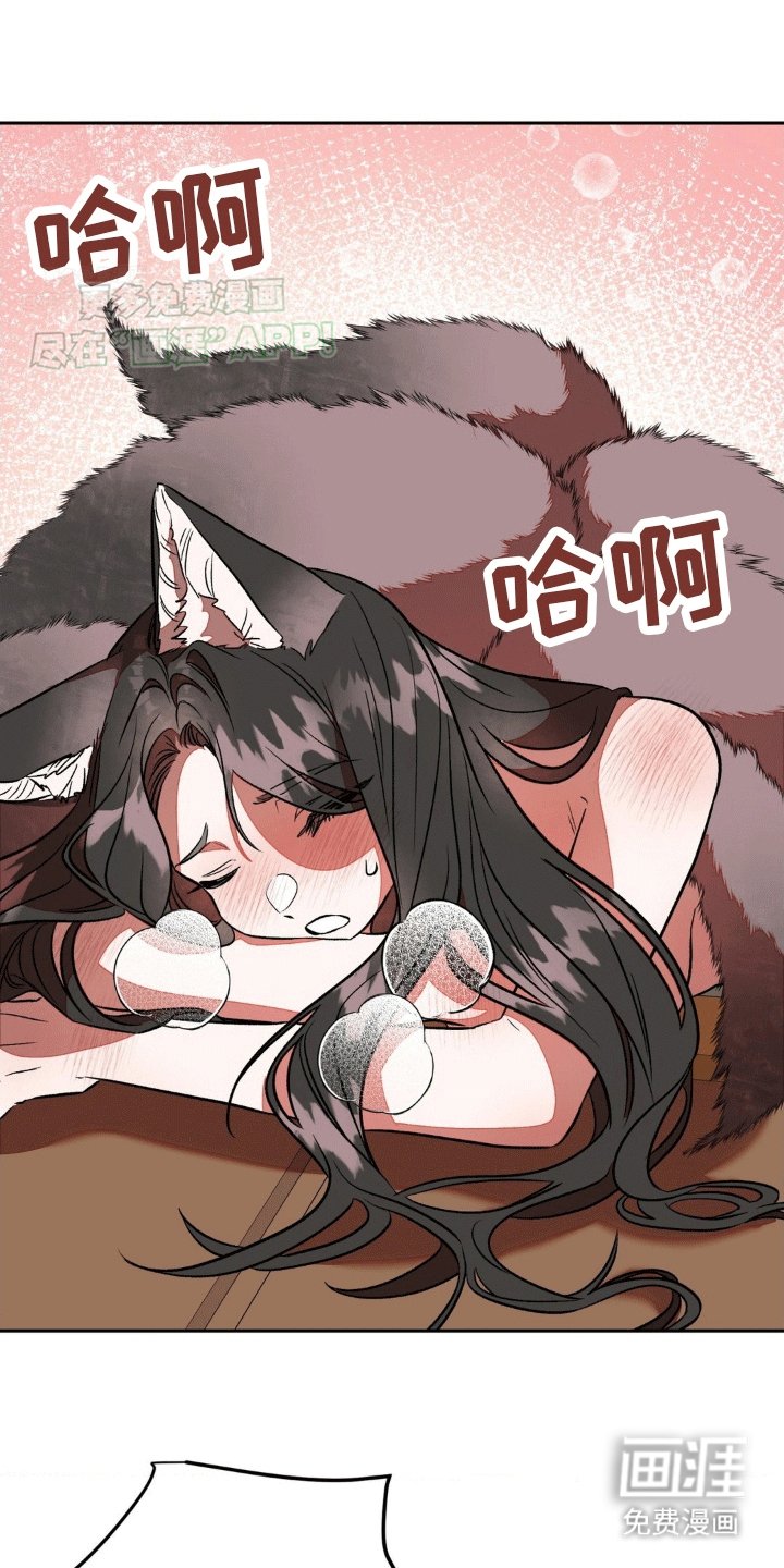 第11章：最正确的决定（完结）