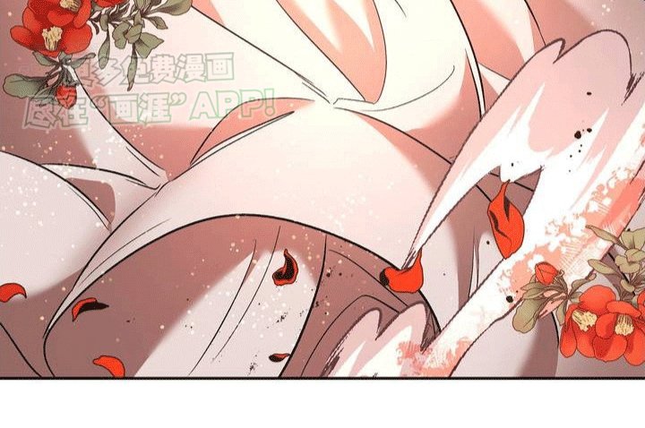 第2章：抢来的新娘