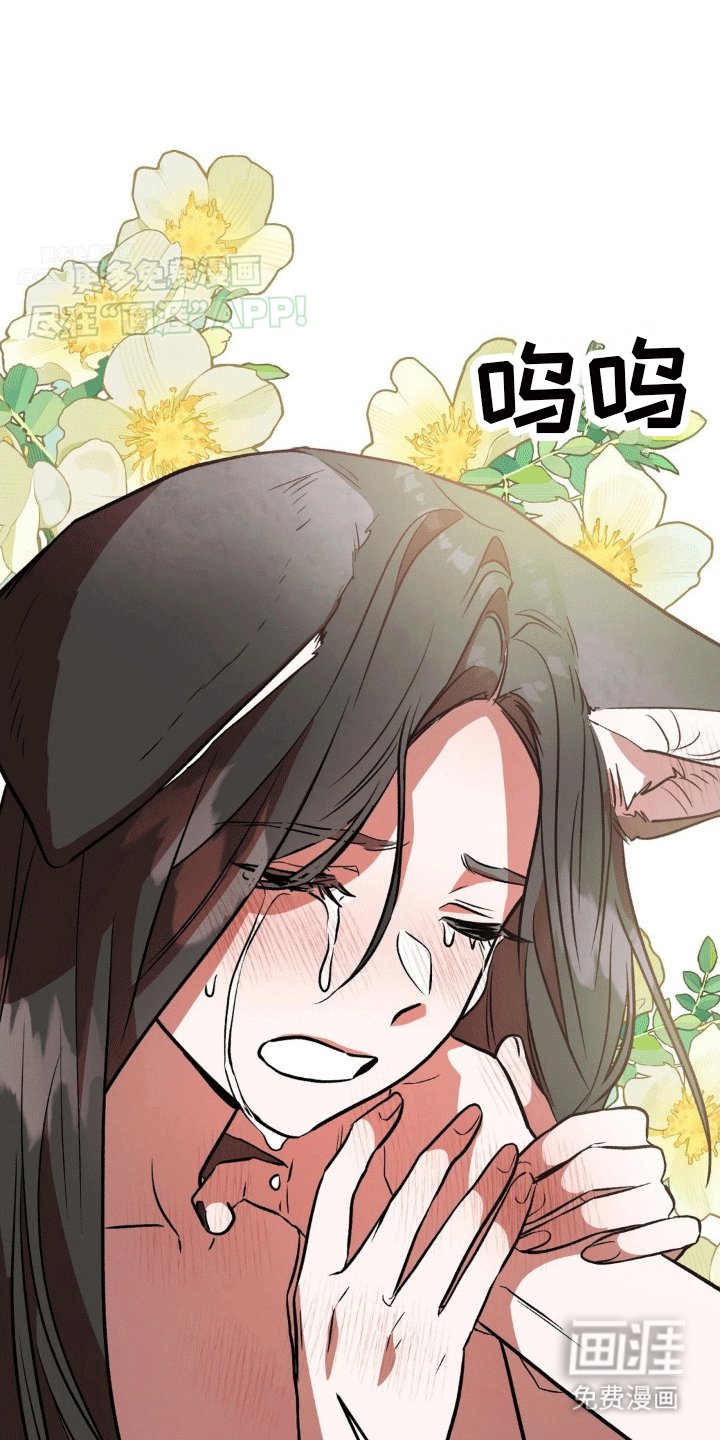 第8章：心软