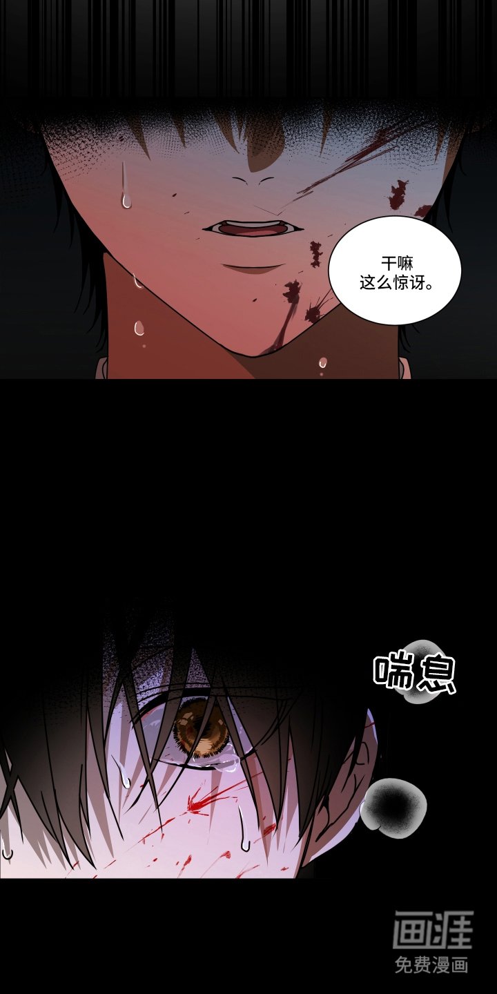 第1章：共犯