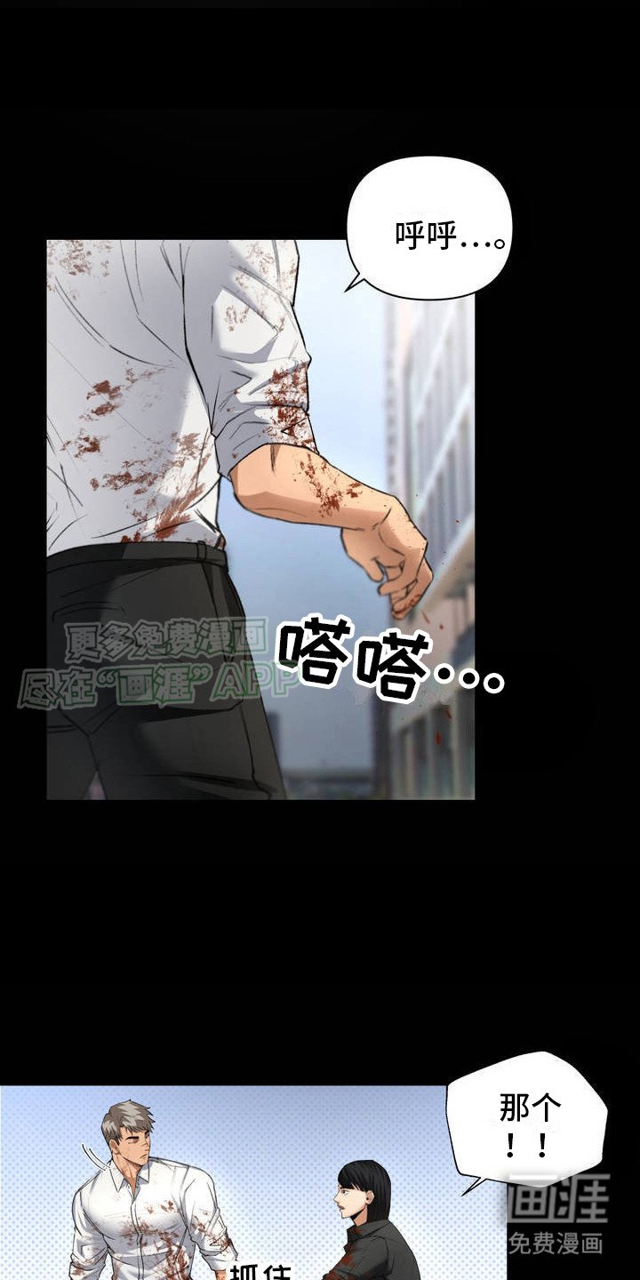第1章：机会