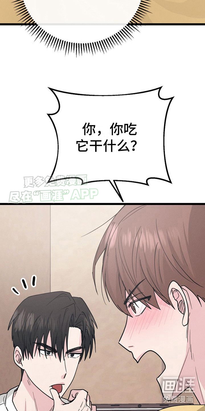 第20章：已售罄