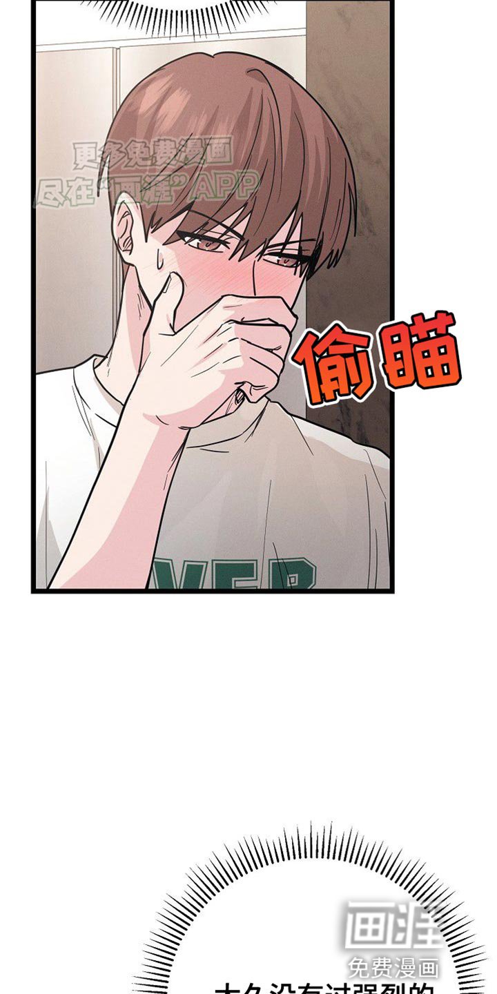 第31章：决定
