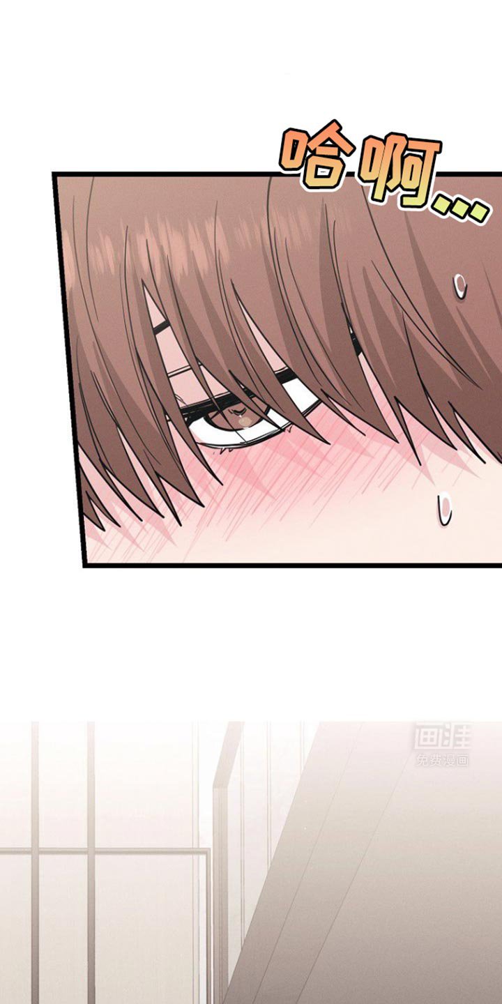 第33章：戒备心
