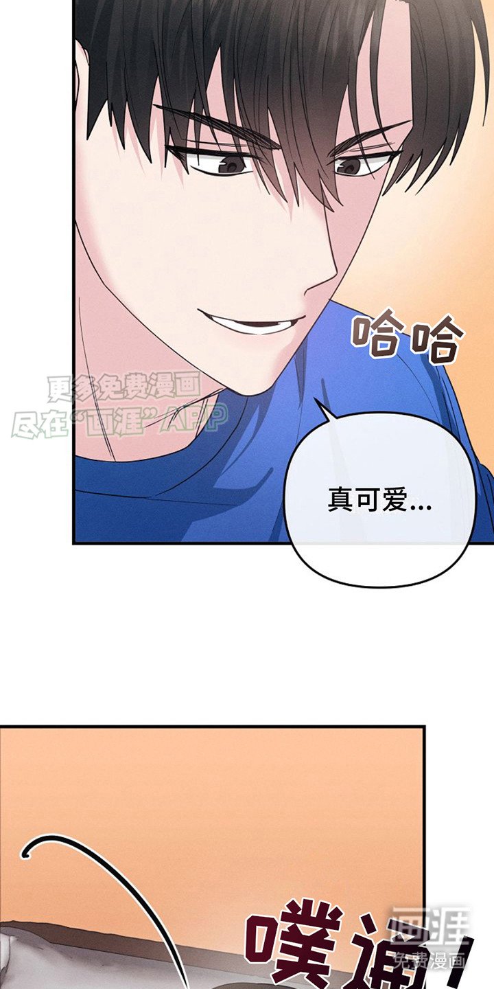 第4章：自拍照
