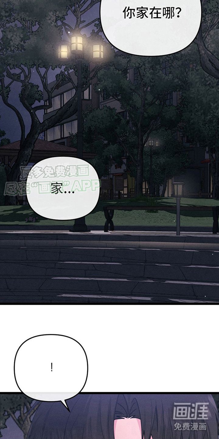 第5章：魅力