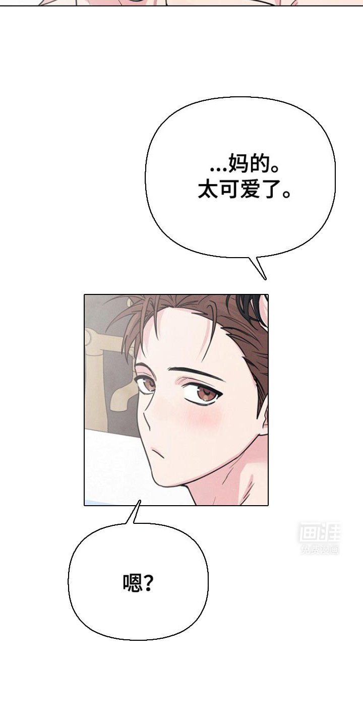 第52章：好像喜欢我