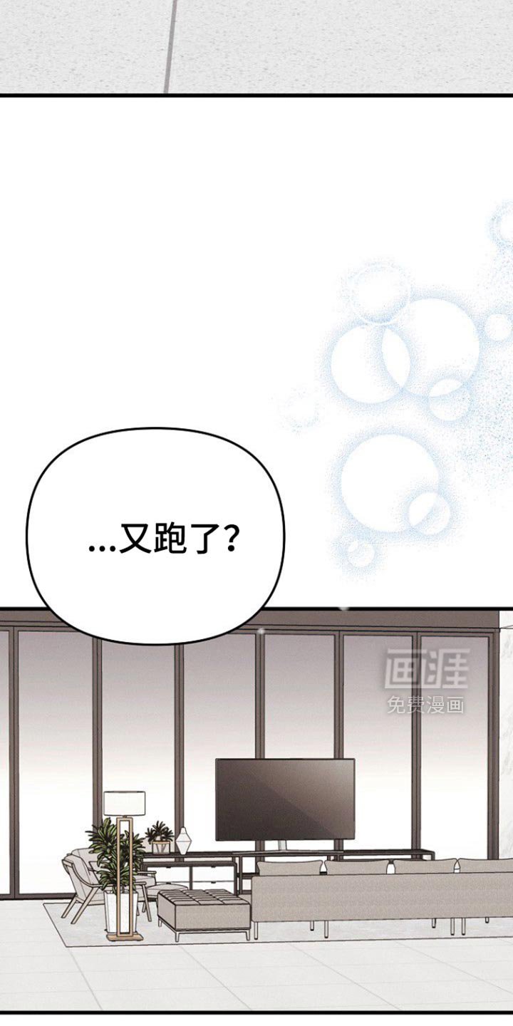 第56章：给你做了早饭
