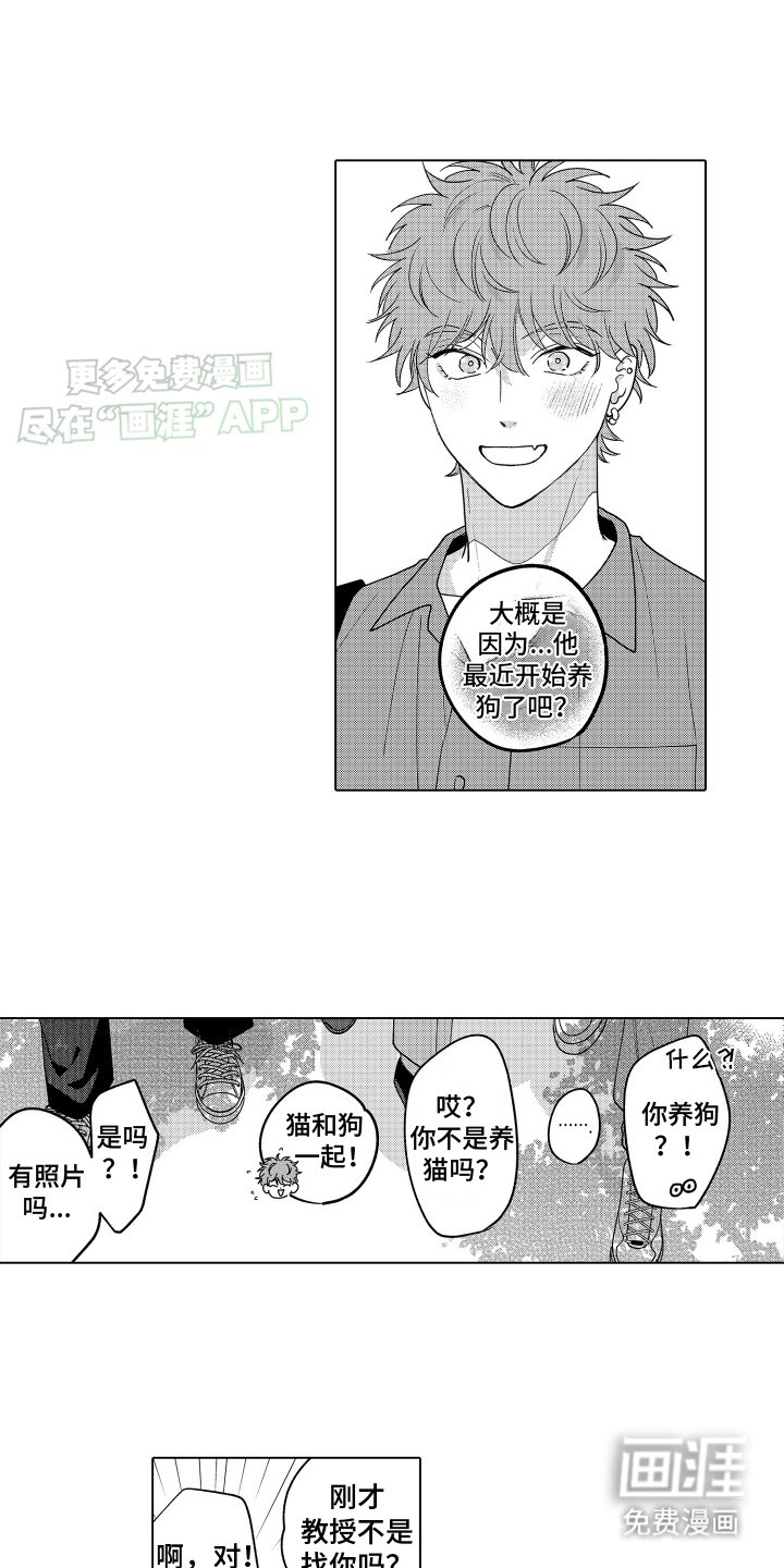 第28章：特别的小家伙（完结）