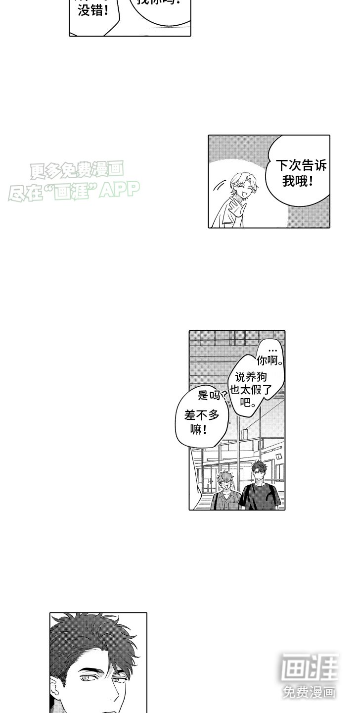第28章：特别的小家伙（完结）