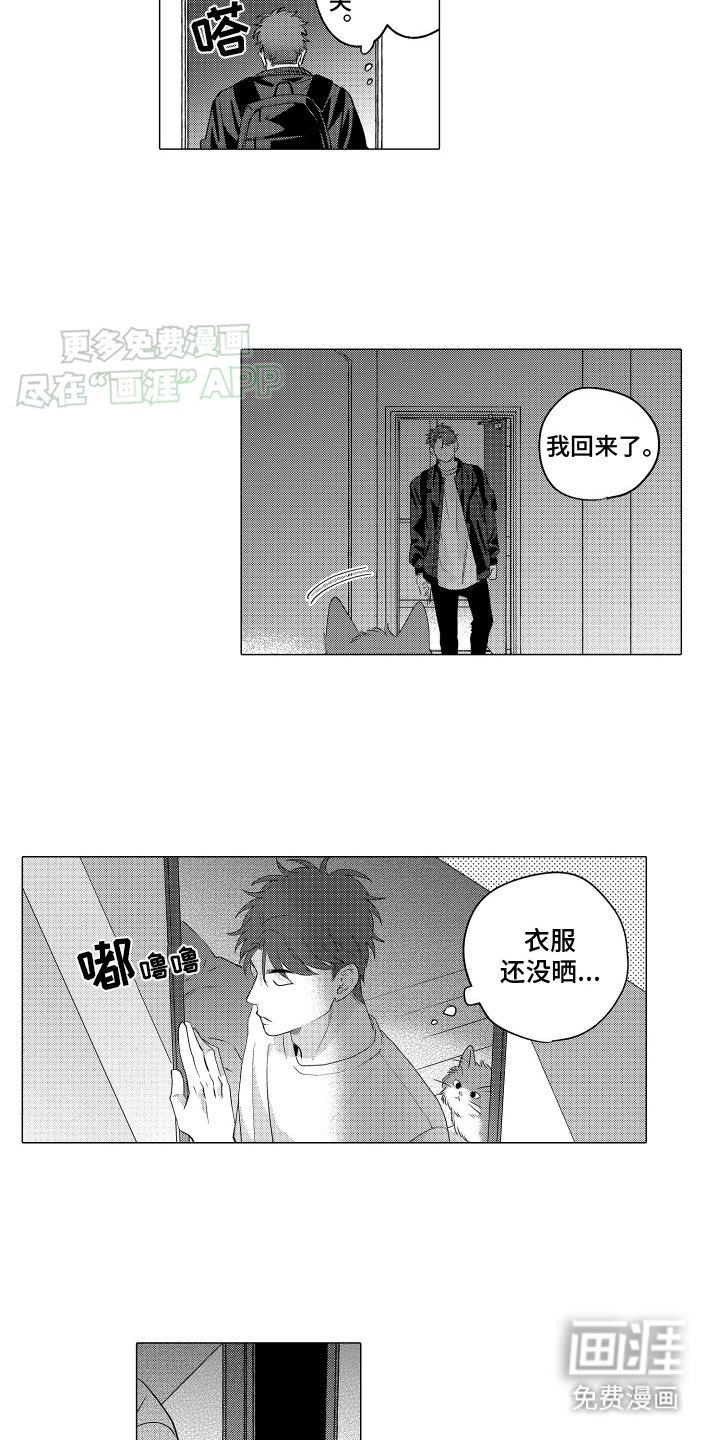 第3章：这是怎么回事