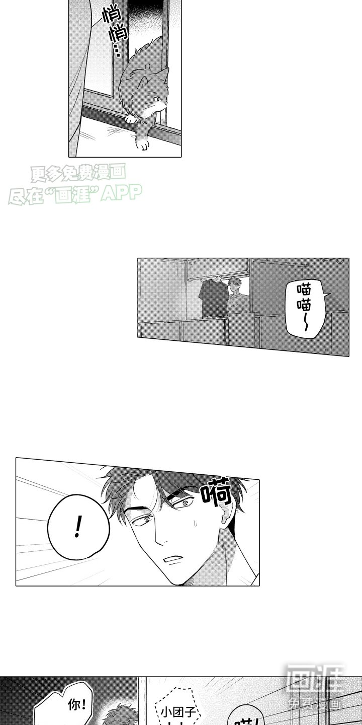 第3章：这是怎么回事