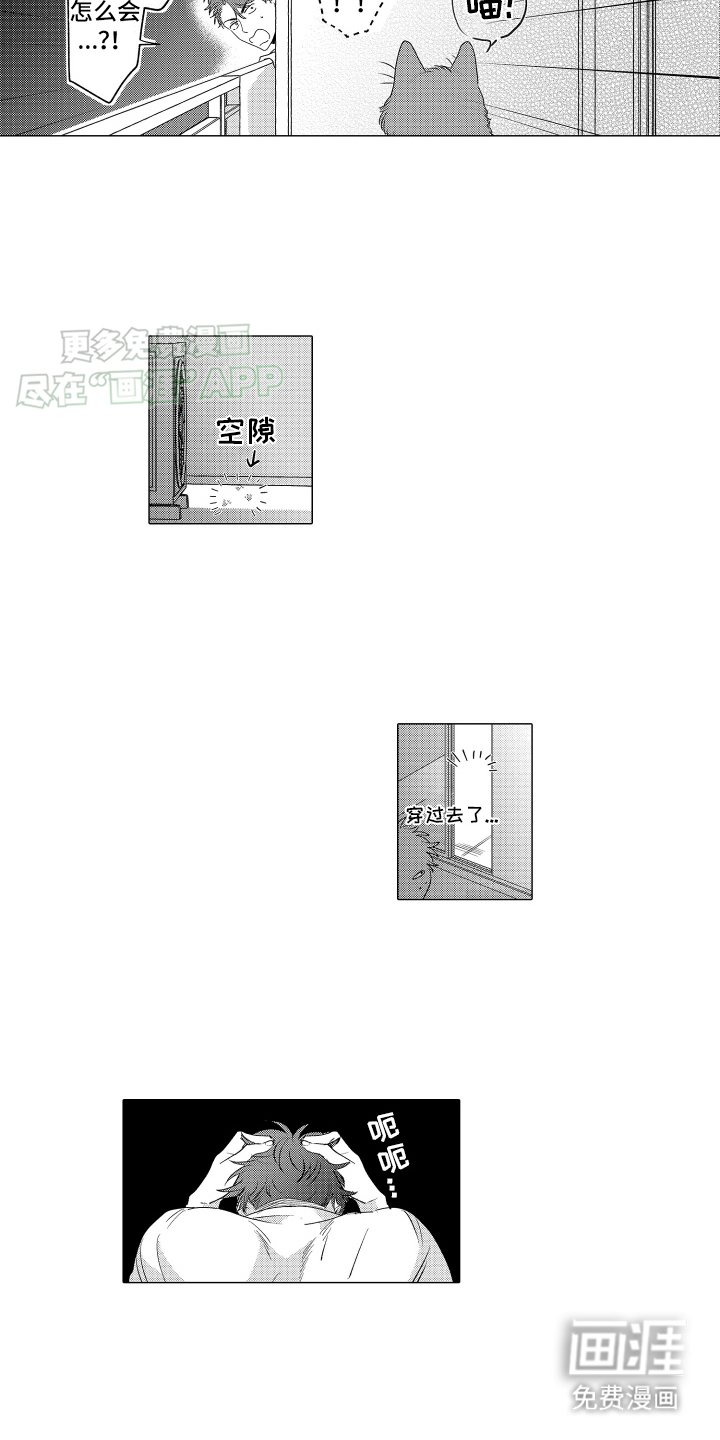 第3章：这是怎么回事