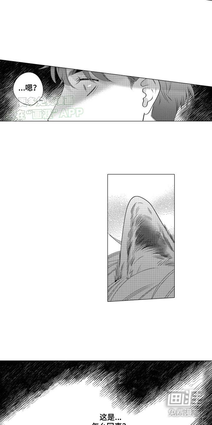 第3章：这是怎么回事