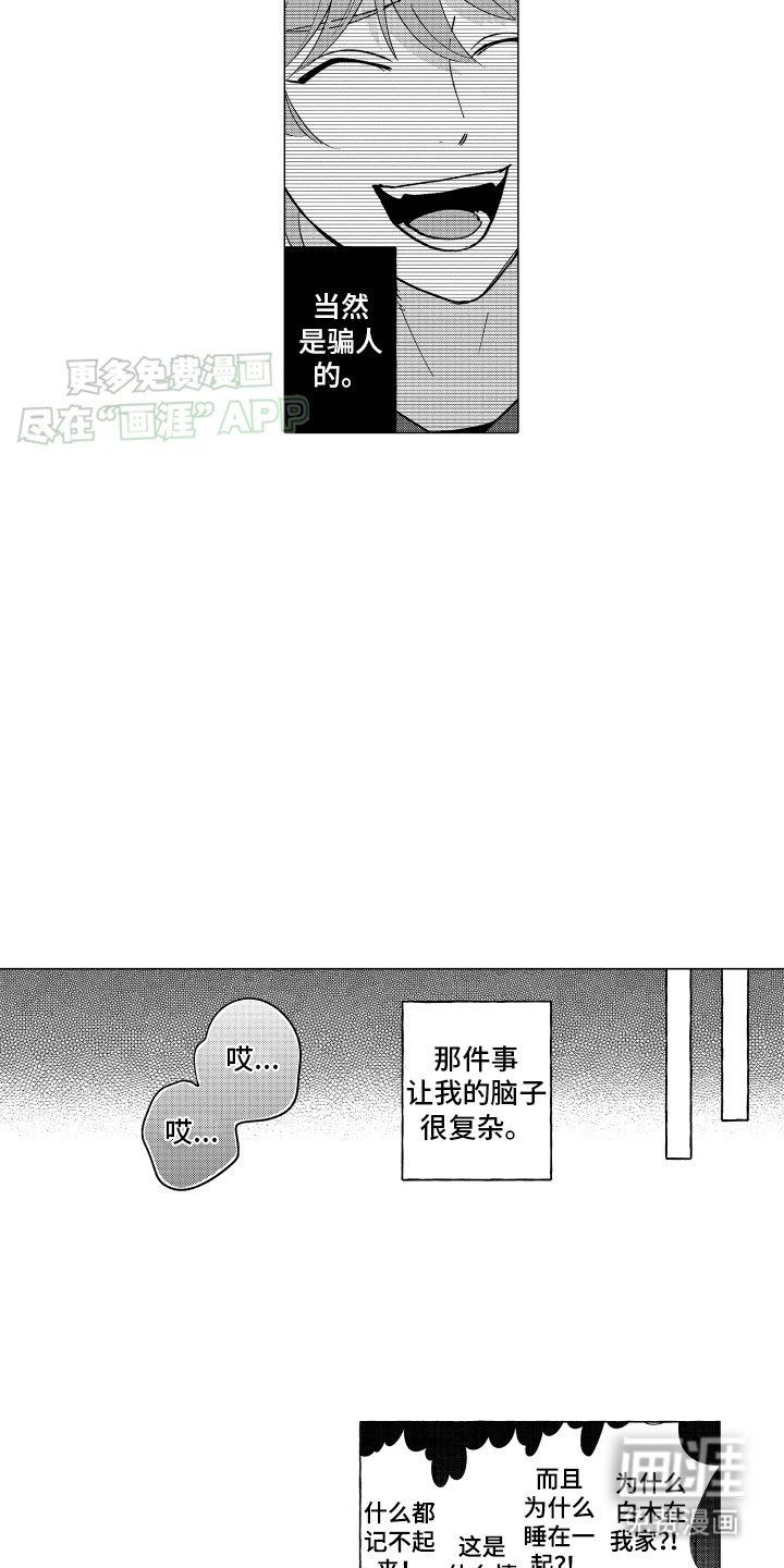 第5章：外援