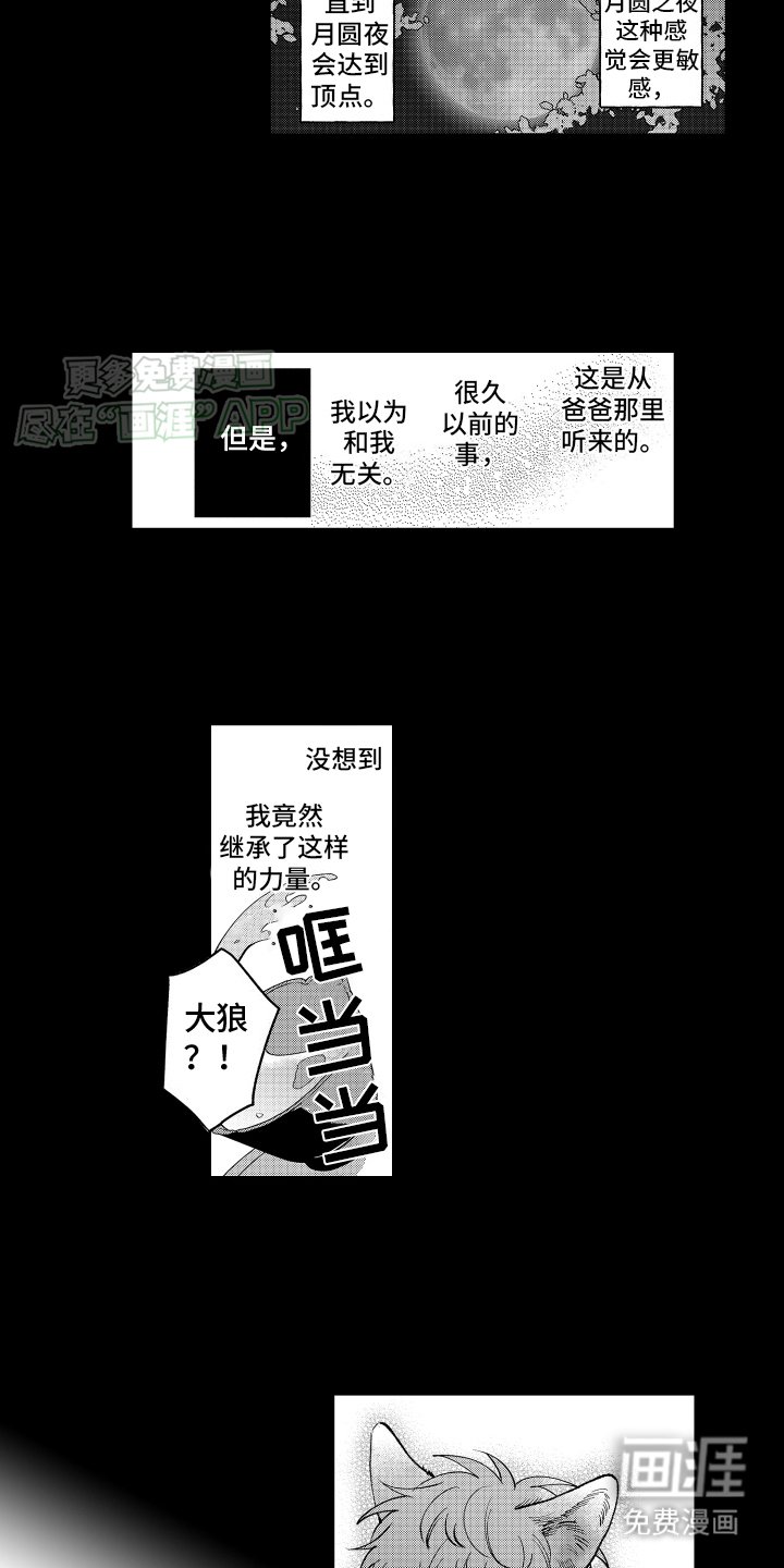 第5章：外援