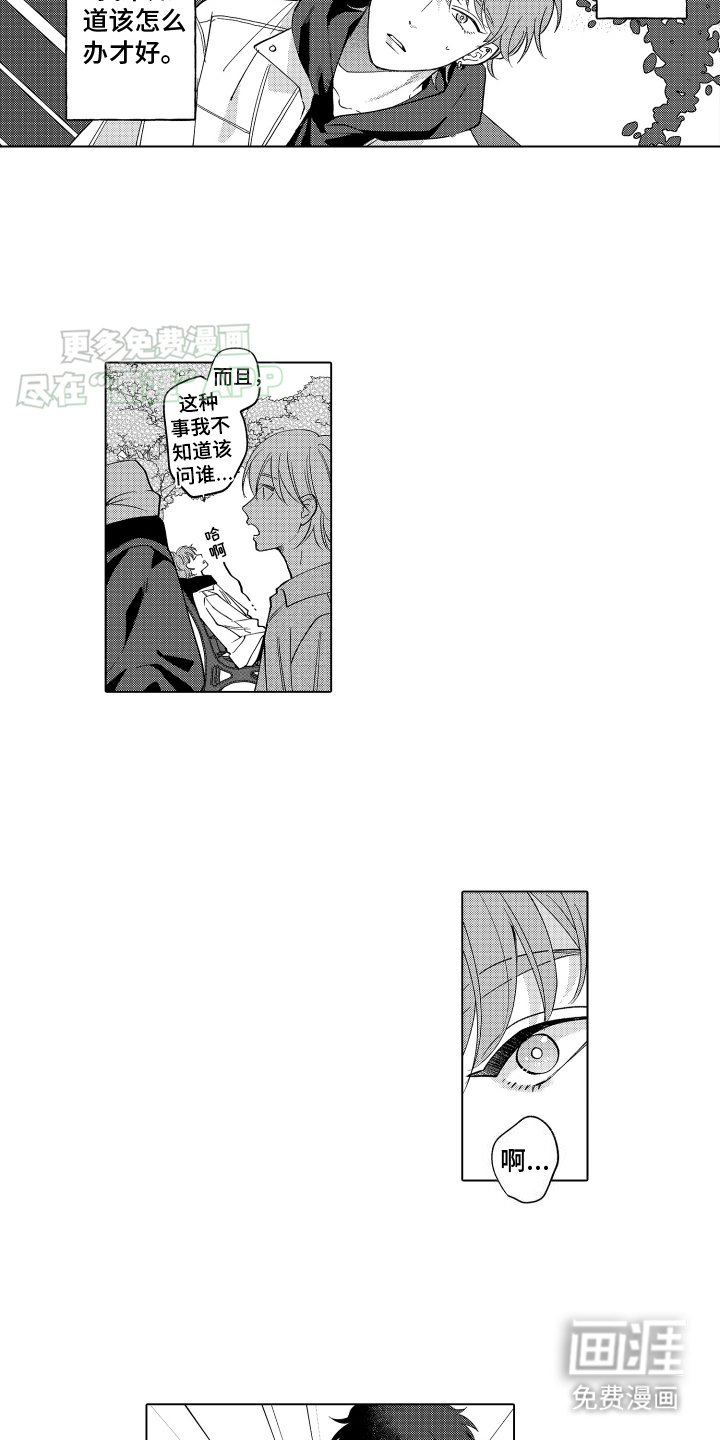 第5章：外援