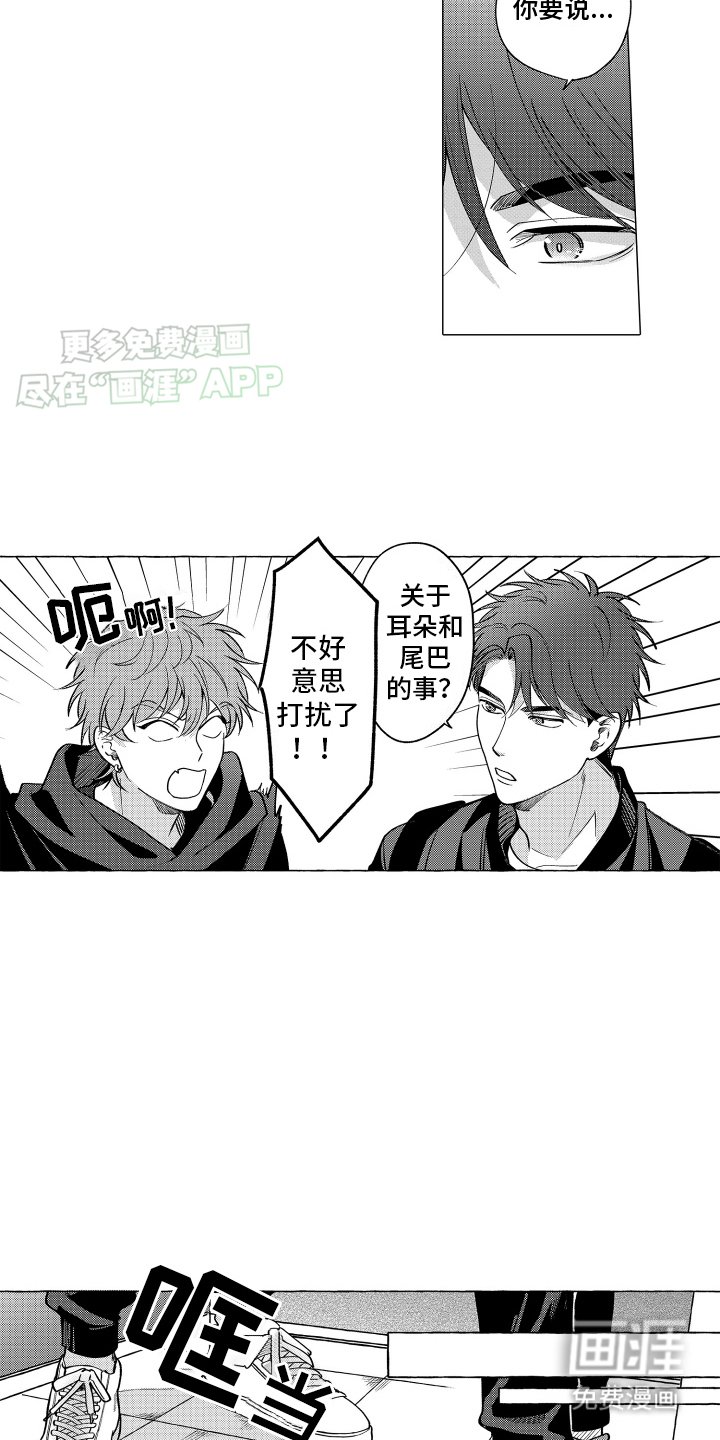 第7章：坦白
