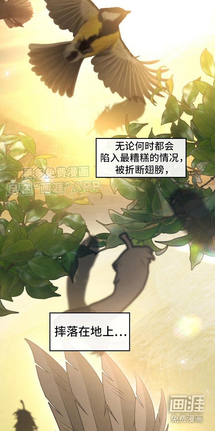 第16章：受宠若惊