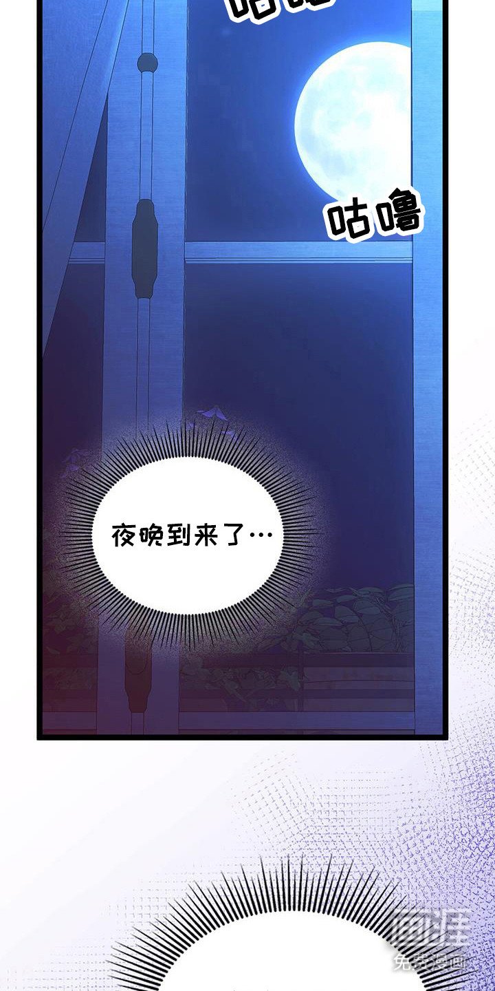 第65章：又要来临