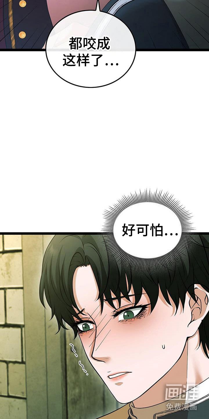 第82章：夜晚幻想