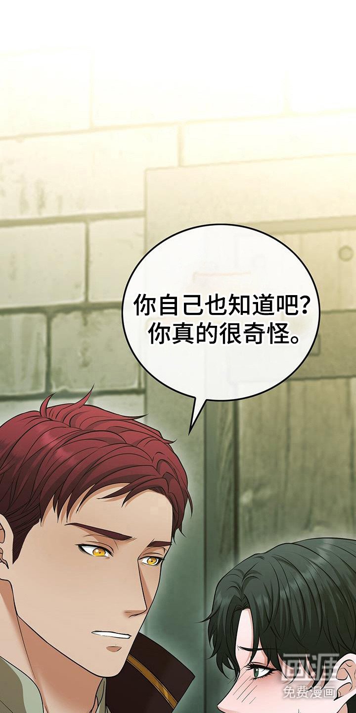 第82章：夜晚幻想