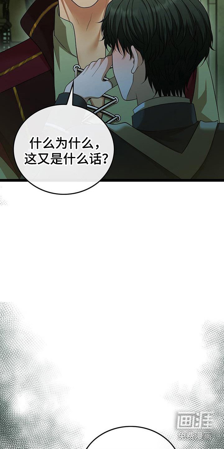 第82章：夜晚幻想
