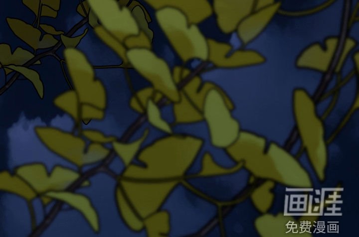 第63章：一个季节的关系