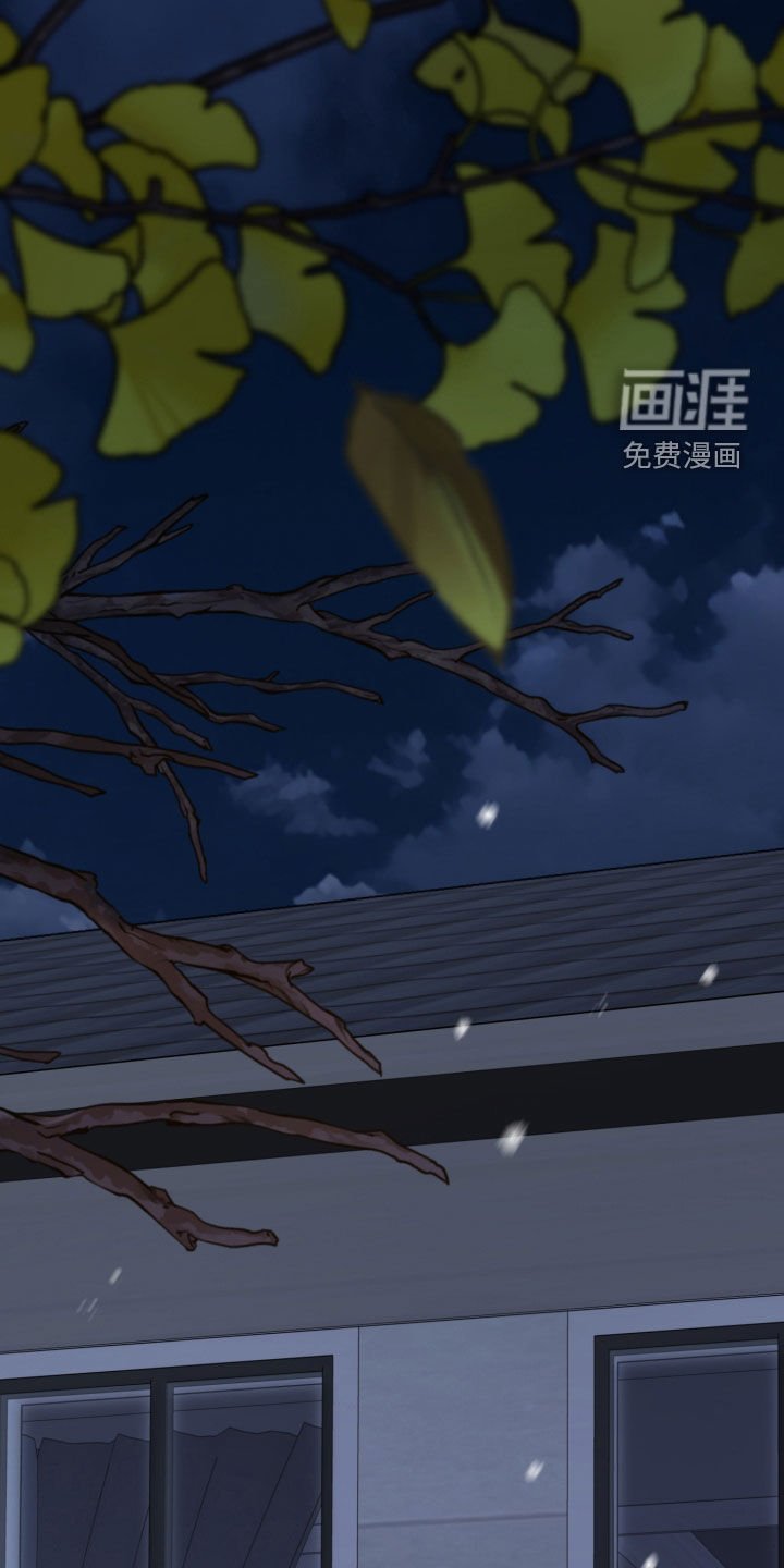 第63章：一个季节的关系