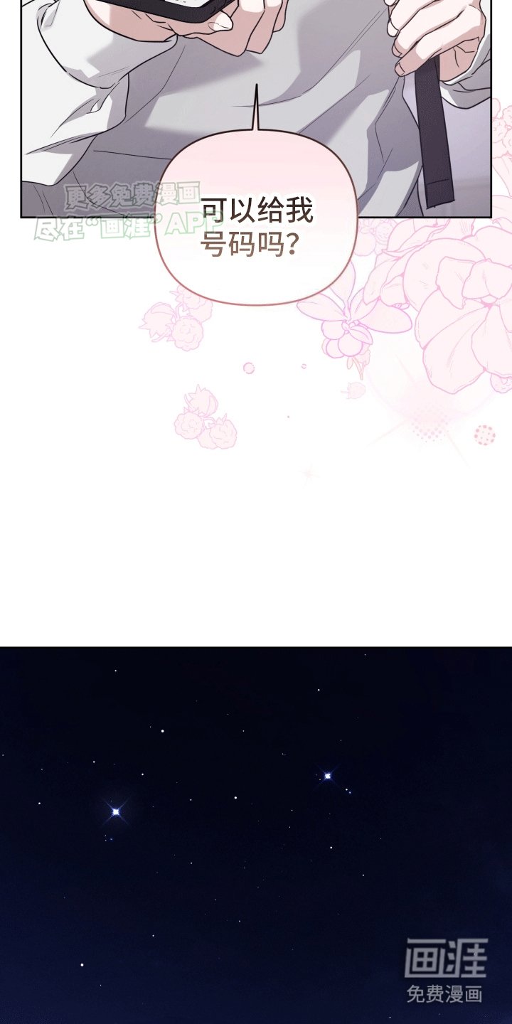 第8章：散步邀约