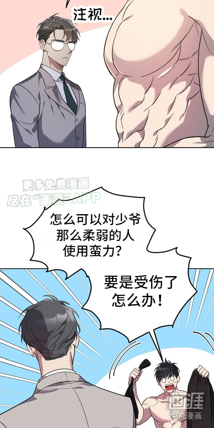 第12章：有趣的想法