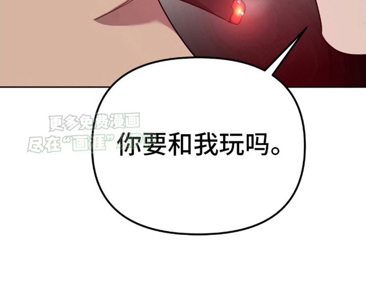 第12章：有趣的想法
