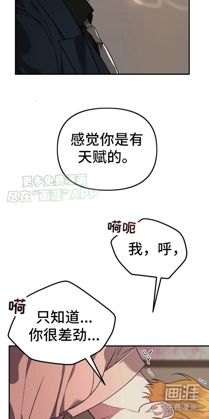第13章：不坦诚