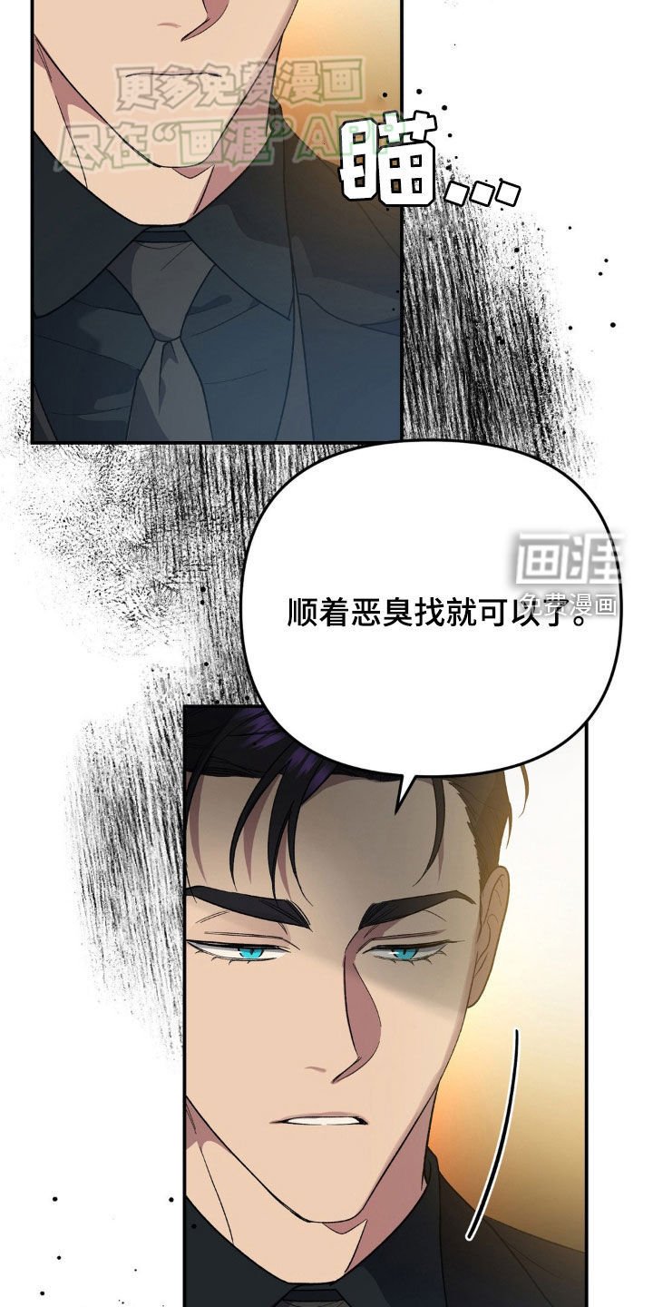 第21章：让人不爽的脸