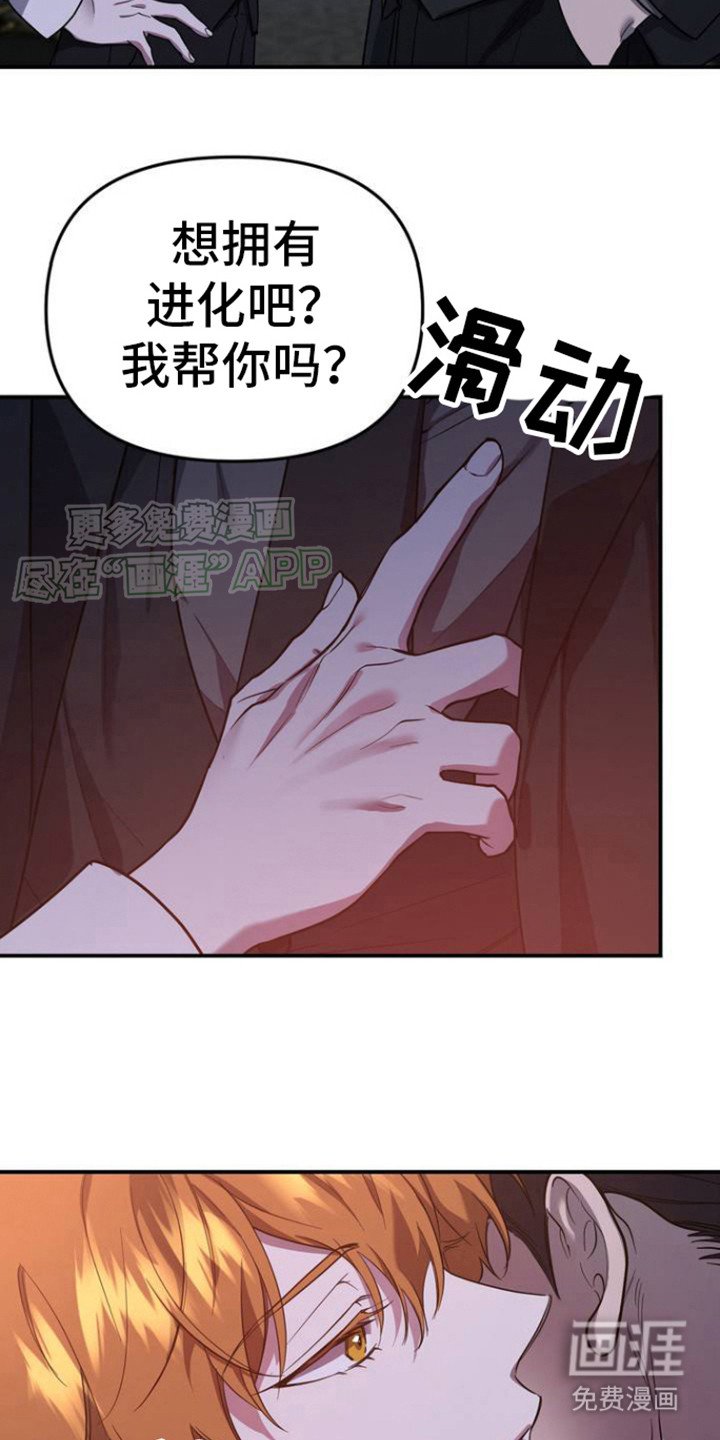 第3章：协商