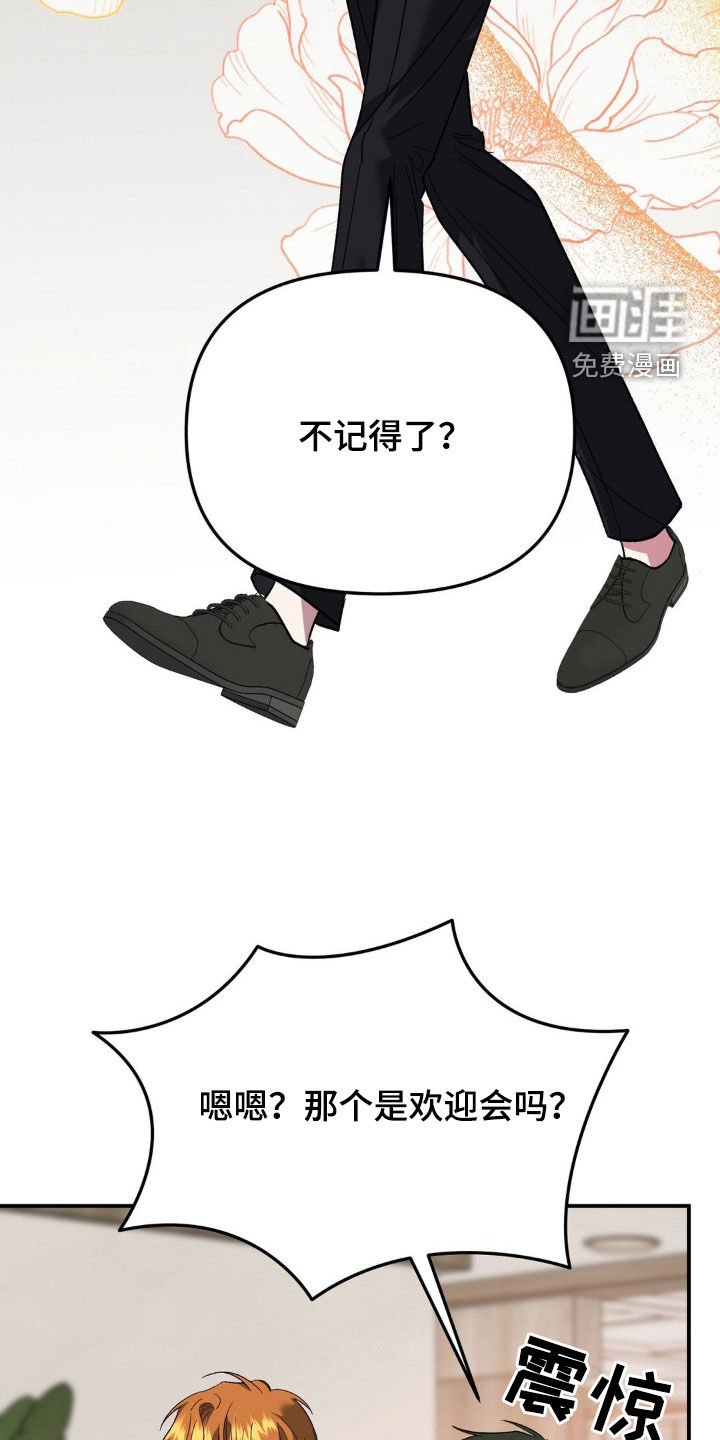 第30章：新理事