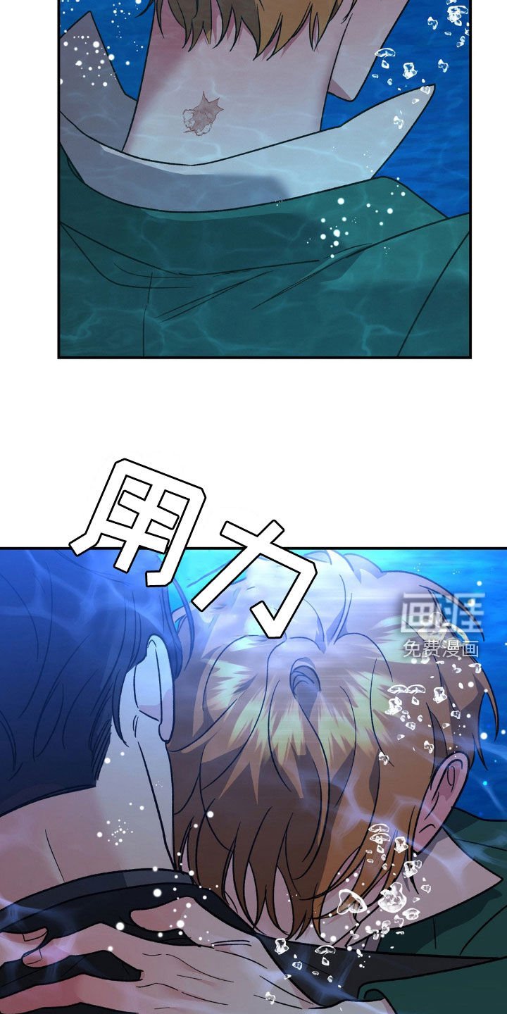 第37章：通话