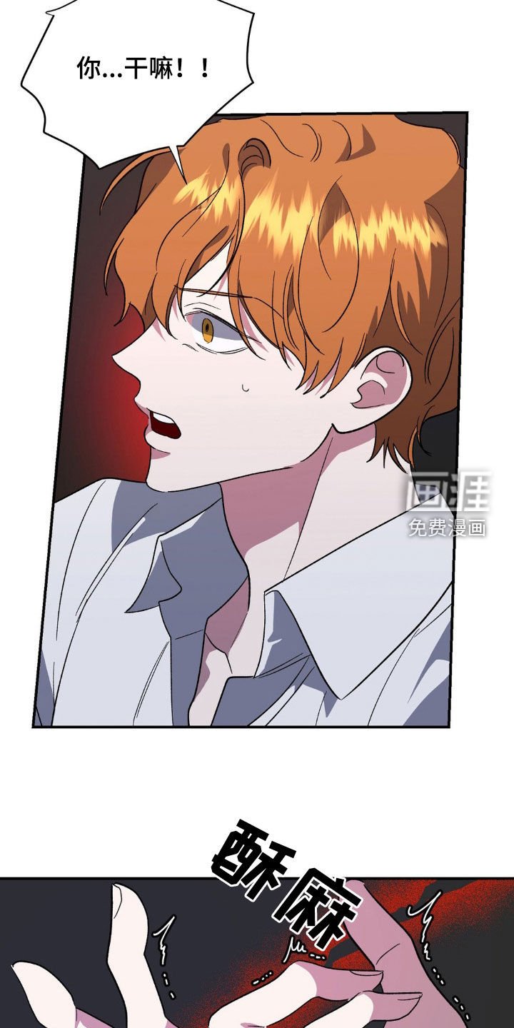 第47章：怀疑