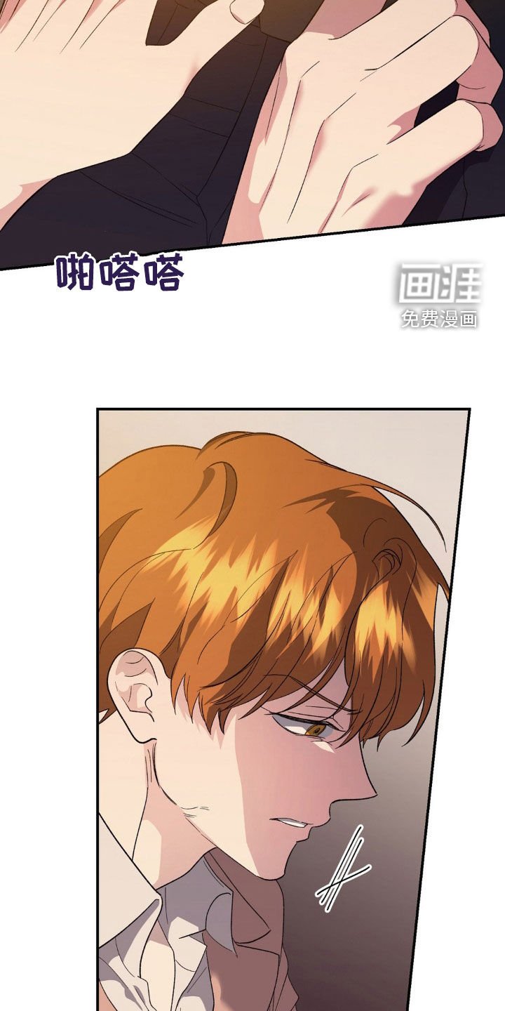 第52章：驯服