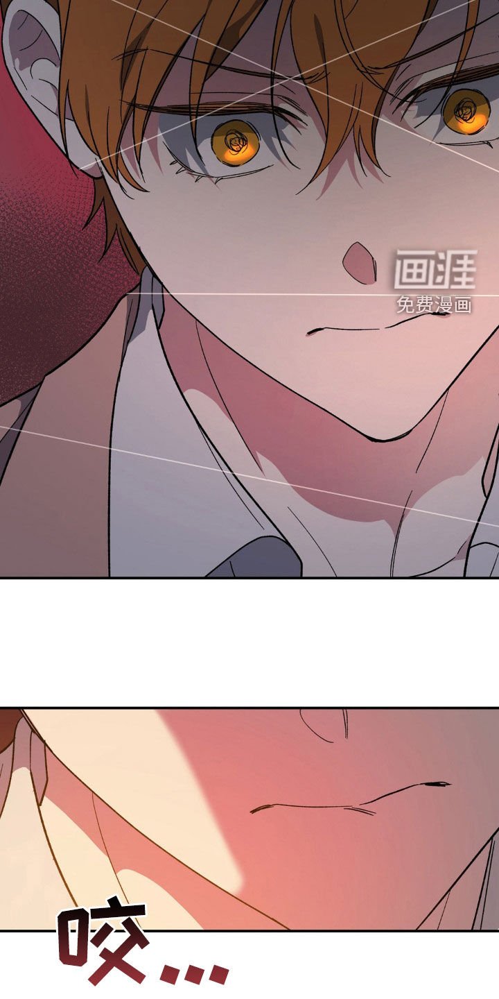第52章：驯服