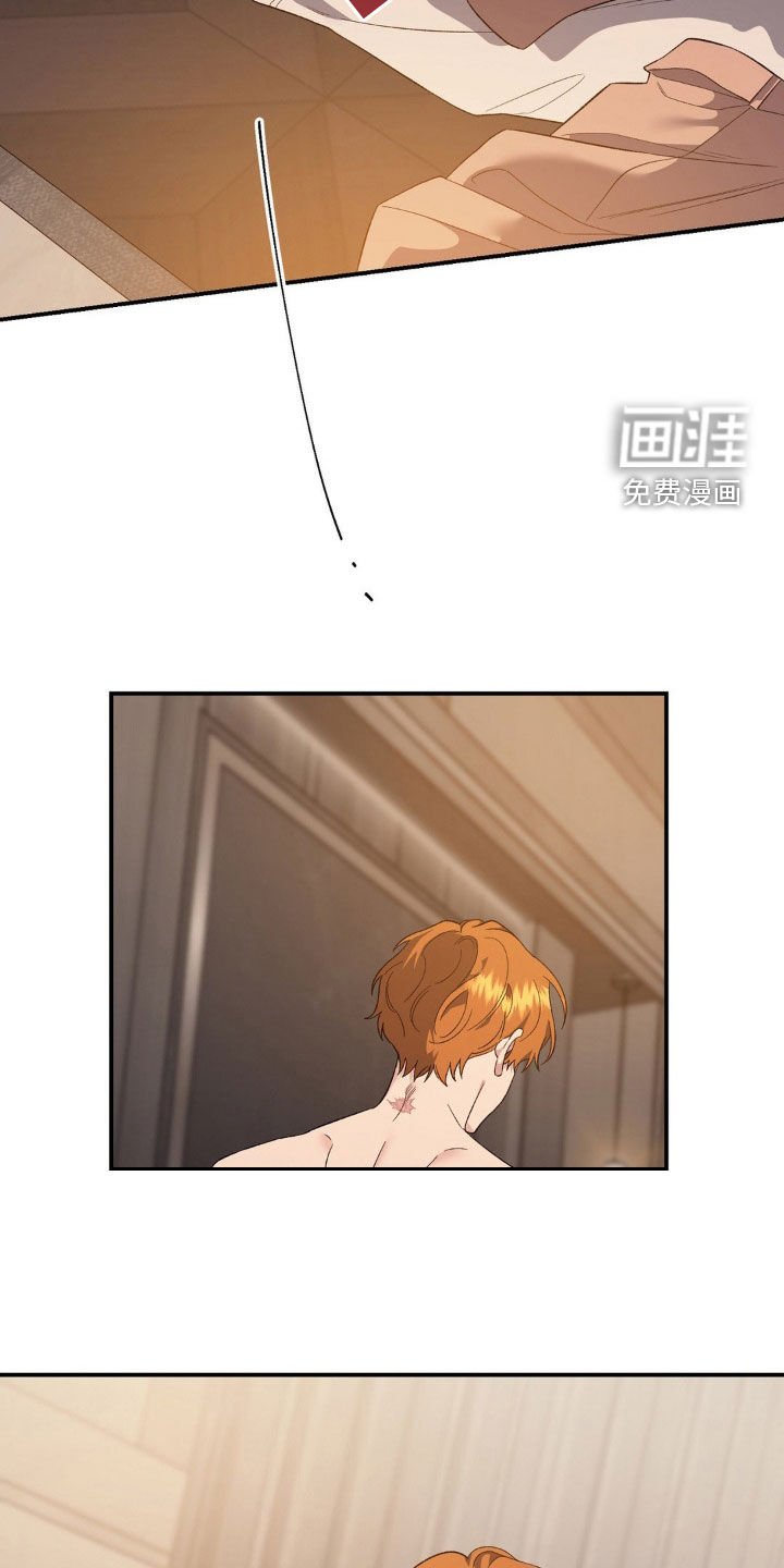 第52章：驯服