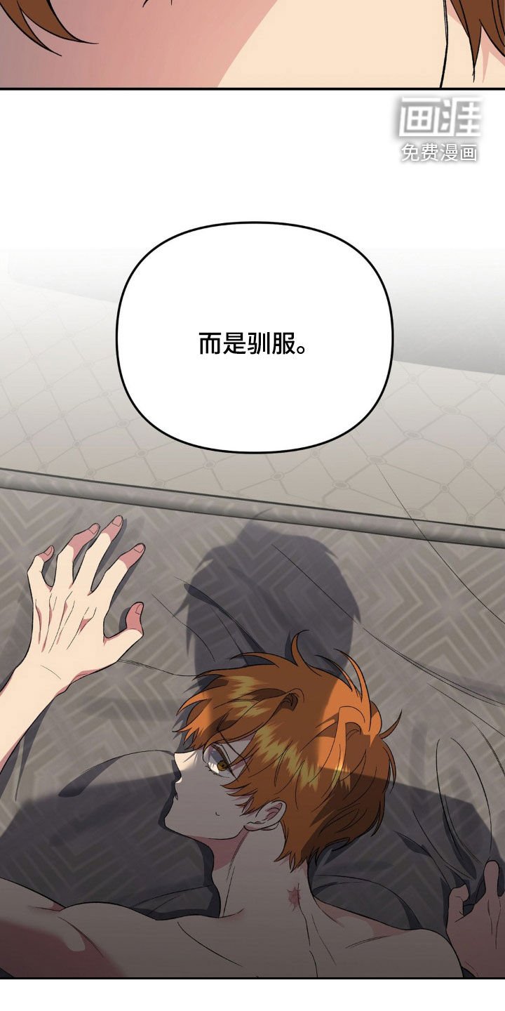 第52章：驯服