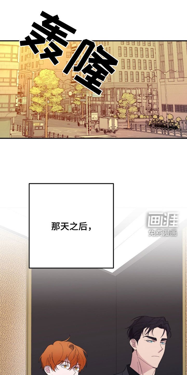 第53章：支配