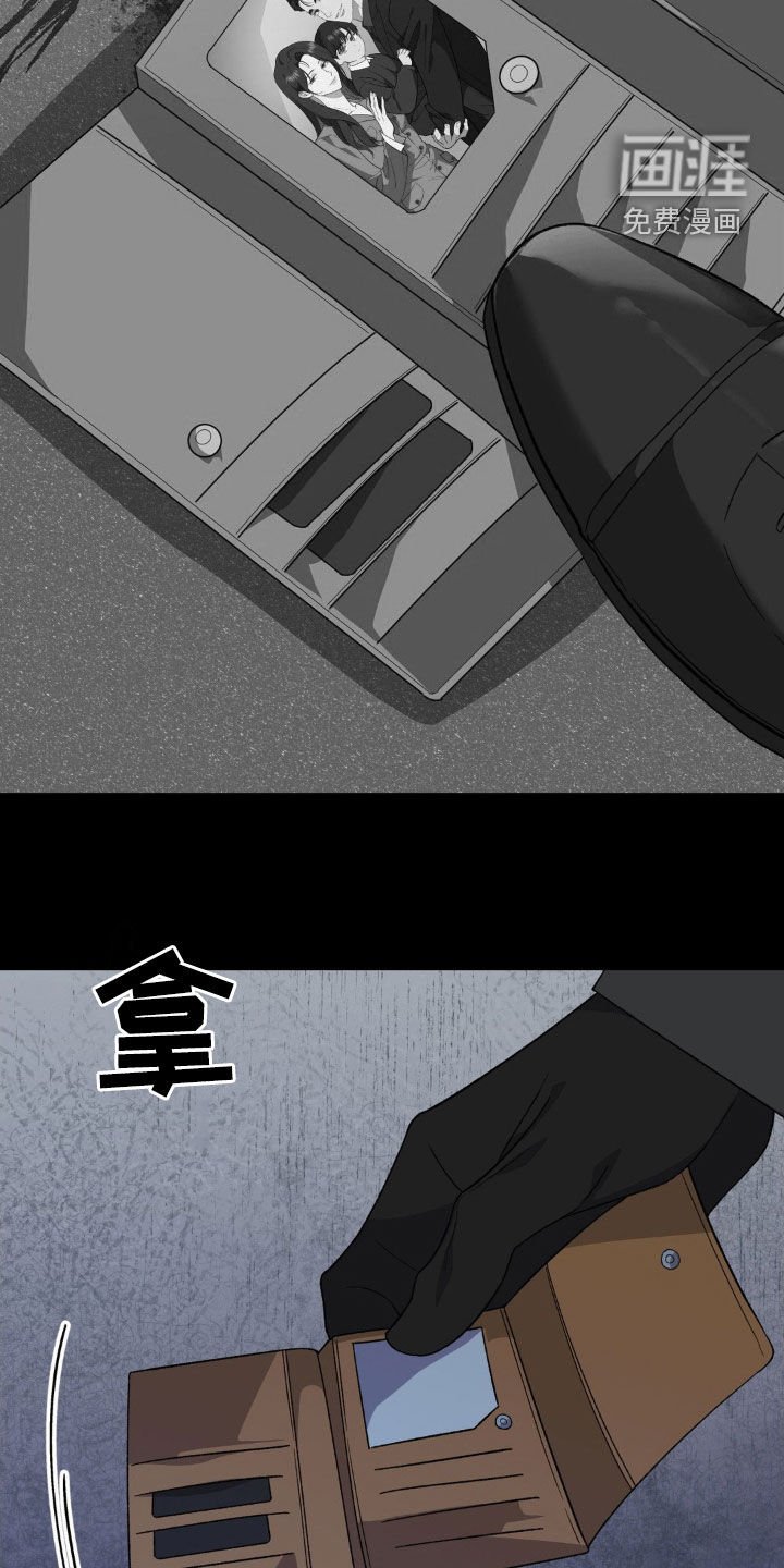 第62章：替代品