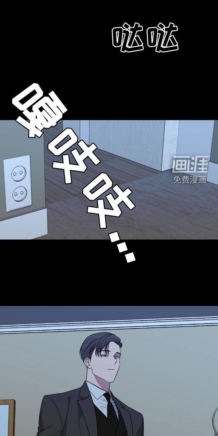 第62章：替代品