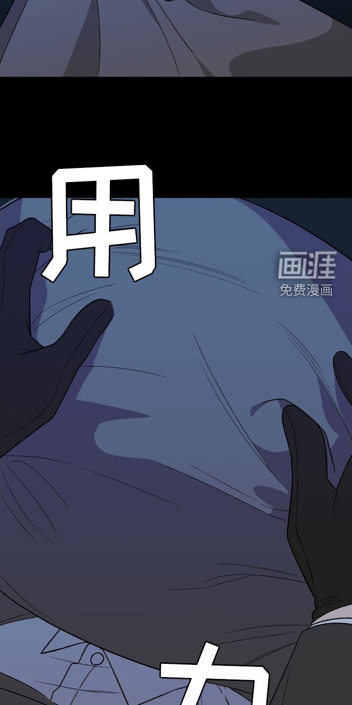 第62章：替代品