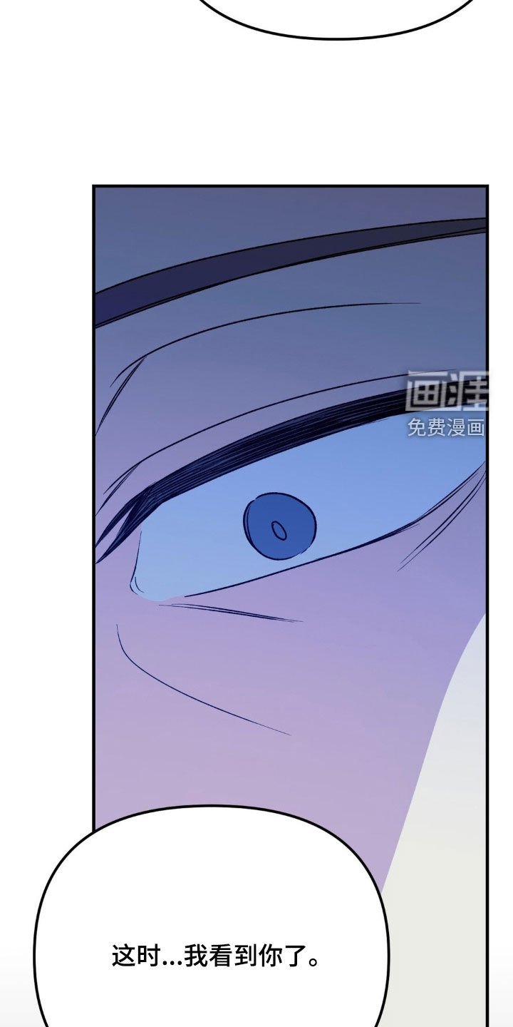 第62章：替代品