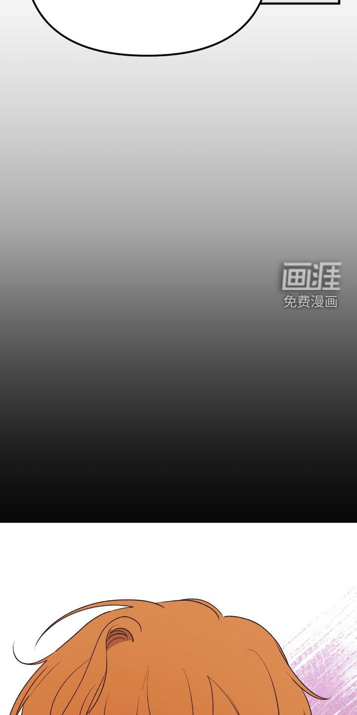 第62章：替代品