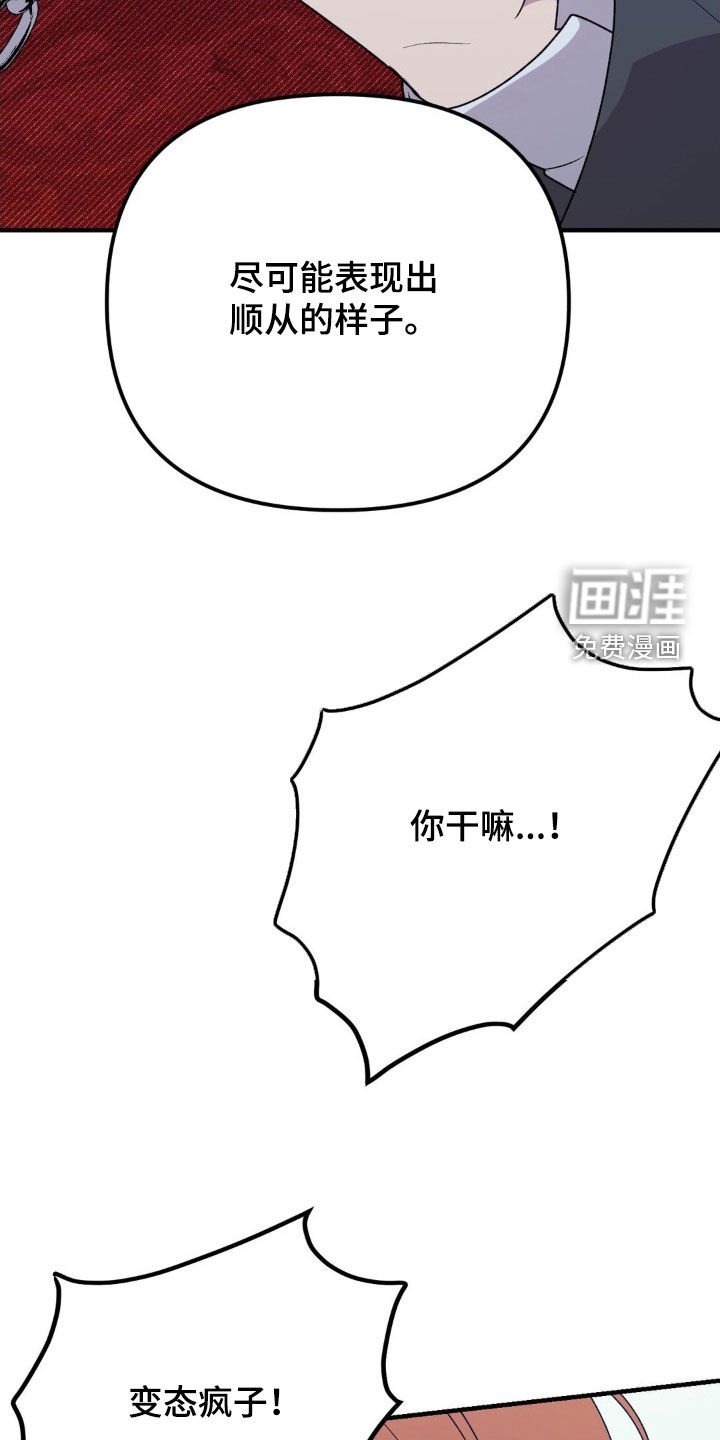 第63章：命运