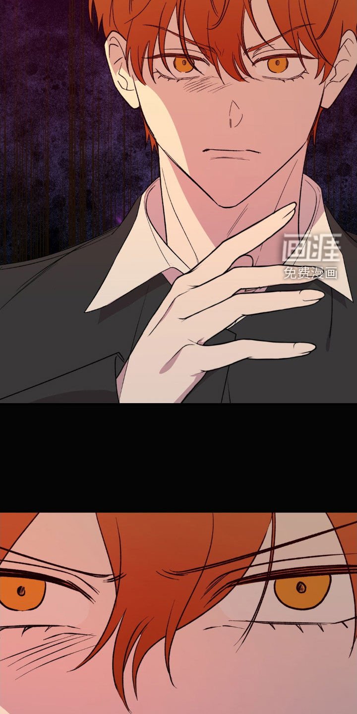 第63章：命运